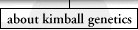 information about kimball genetics
